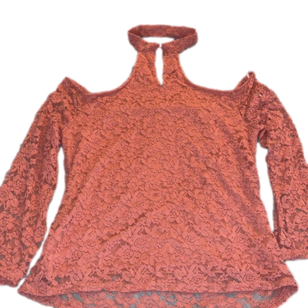 Forever 21 Plus Ambiance Long Sleeve Lace Crochet Off Shoulder Top Mauve